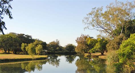 Lusaka Golf Club Takes Steps To Create Its Sustainable Future Geo