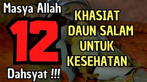 MASYA ALLAH 12 Manfaat Daun Salam Bagi Kesehatan Khasiat Daun Salam