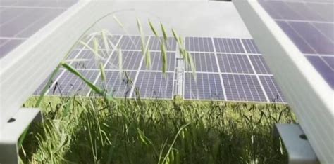 Guia Passo A Passo Para Instalar Um Kit De Autoconsumo Solar Fotovoltaico