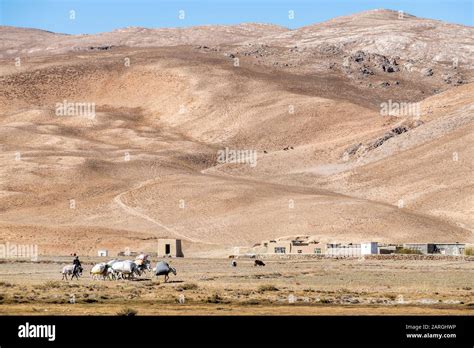 Caravan In The High Altitude Desert Of Bamyan Afghanistan Asia Stock