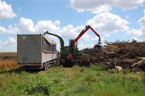 Les Types De Bois énergie Bois Energie France