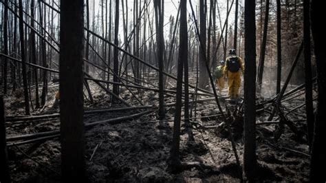 Shifting winds threaten to fan the flames of Alberta wildfires | CBC News