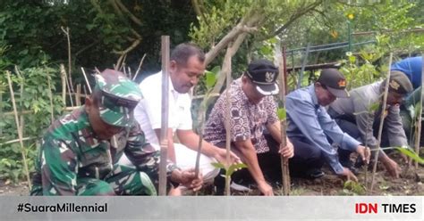 Puncak Hpn Fpb Tanam Bibit Mangrove Bareng Wabup