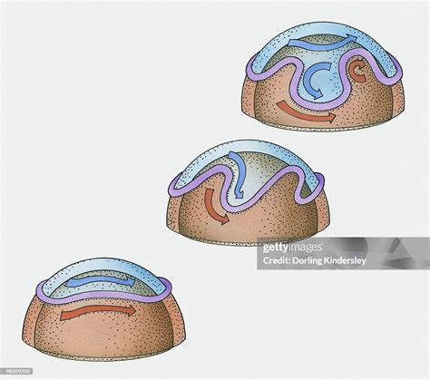 Rossby Or Planetary Waves In Atmosphere High-Res Vector Graphic - Getty Images