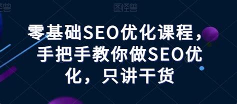 零基础seo优化课程，手把手教你做seo优化，只讲干货 问道峰