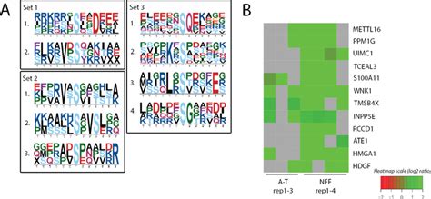 Potential Protein Kinase Substrate Motifs And Regulated P S T Q Sites