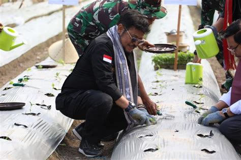 Kendalikan Inflasi Mentan Dukung Pengembangan Cabai Di Lombok Timur