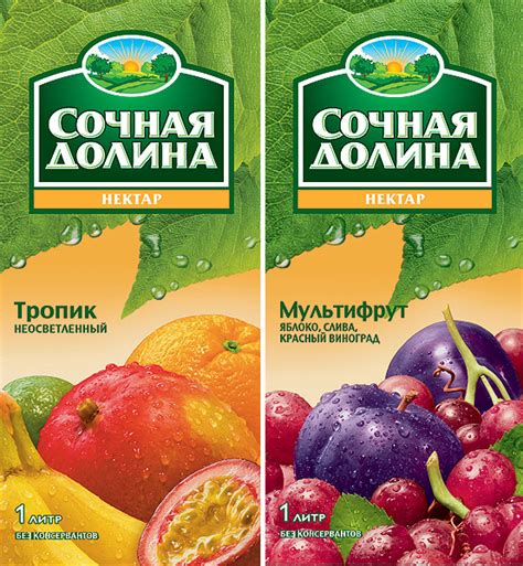 ООО Южная соковая компания