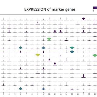 Violin Plots For The Top DA Genes For Each Cluster Of Their Activity