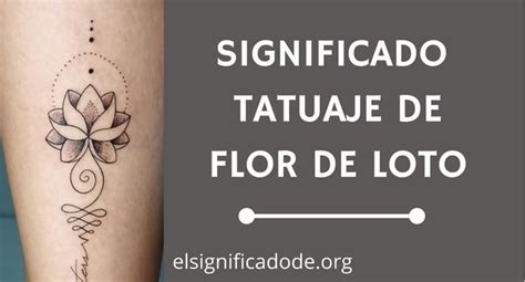 Top 48 Tatuaje De Flor De Loto Abzlocal Mx