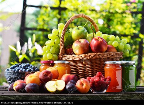 Frische Reife Bio Obst Im Garten Ausgewogene Stock Photo