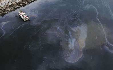 California oil spill News - Latest California oil spill News, Breaking ...