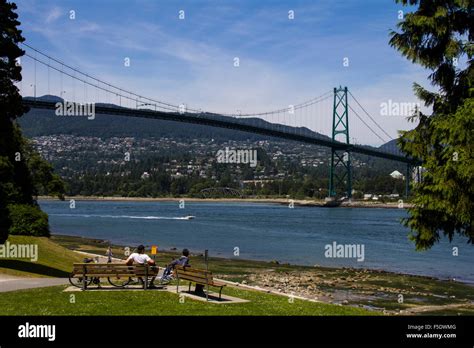 Lions Gate Bridge Viewed From Stanley Park Vancouver British