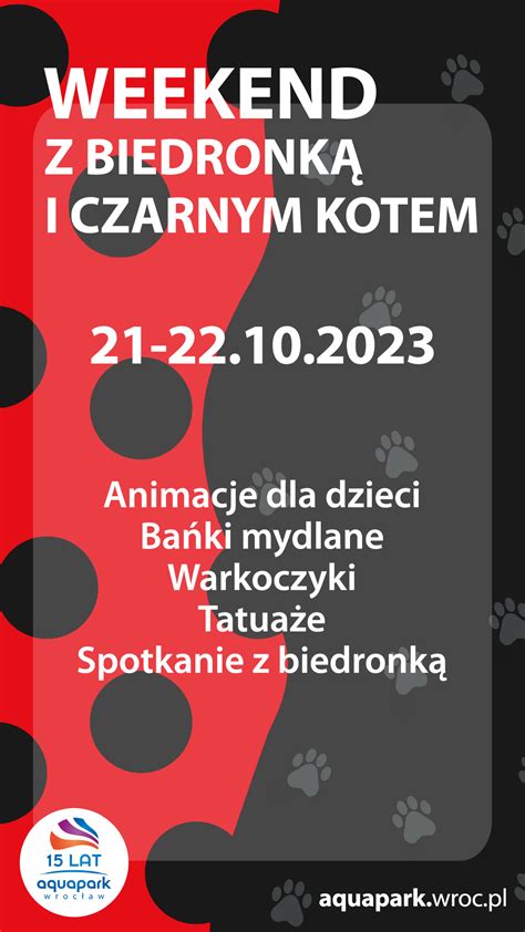 Weekend z biedronką i czarnym kotem