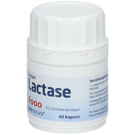 Enzym Lactase Fcc Kapseln St Shop Apotheke