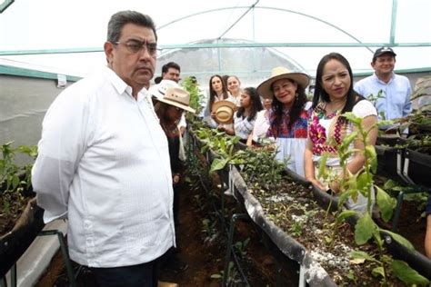 Más presupuesto para combatir carencia alimentaria Céspedes Crónica