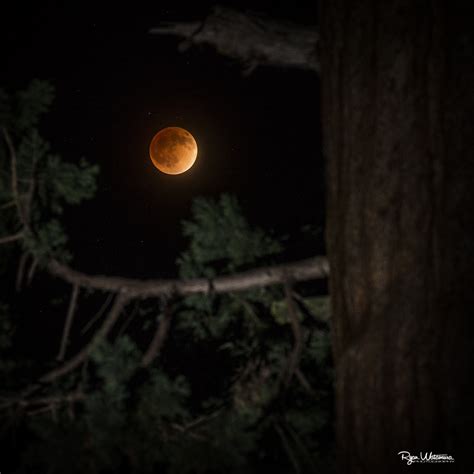 Blood Moon Photos: Spectacular Total Lunar Eclipse Views by Stargazers (Video, Images) | Space