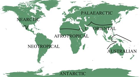 Zoogeographical Regions Of The World