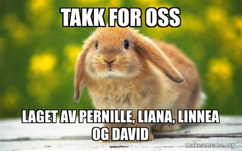 TAKK FOR OSS LAGET AV PERNILLE LIANA LINNEA OG DAVID Regretful