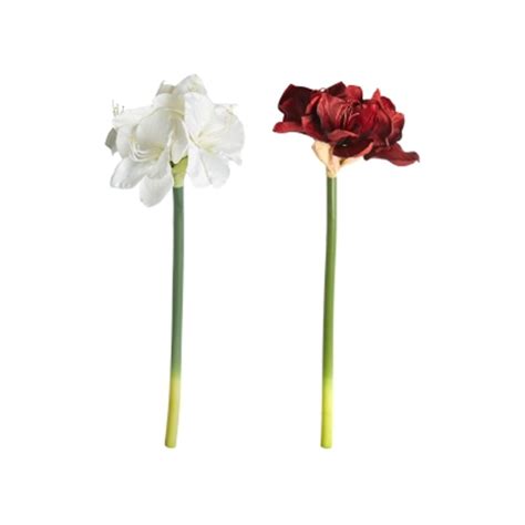 Speedtsberg Amaryllis Med Knopper Kunstige Blomster