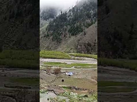 Naran Kaghan Latest Update Live Naran Kaghan News Today Naran