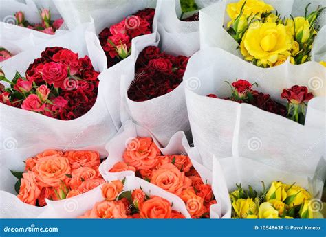 Bunches of roses stock photo. Image of beauty, holiday - 10548638