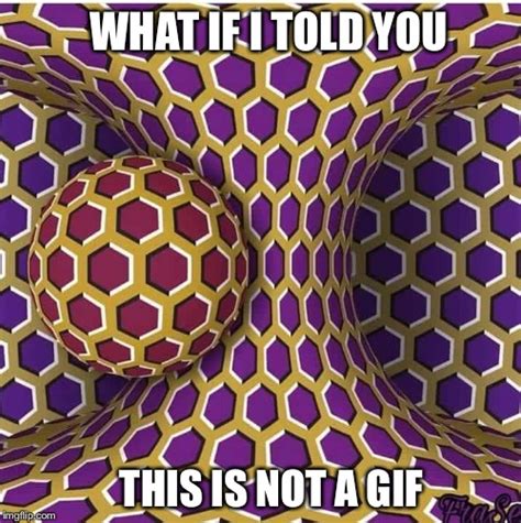 Optical Illusion Memes And S Imgflip