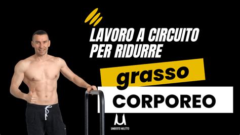 Qual è Il Miglior Circuito Per Bruciare Grasso