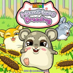 Hamster Simulator - Free Online Games