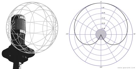 Mic Polar Patterns: Let's Explain How They Work | Gearank