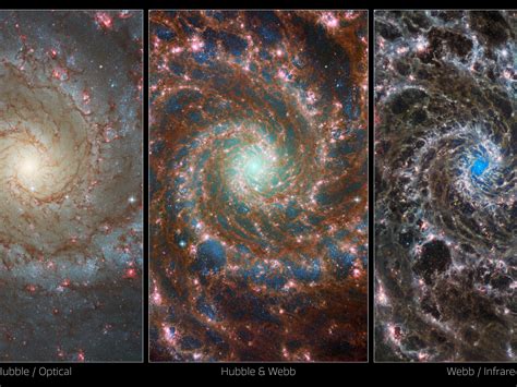 Multi Observatory Views Of M74 Esawebb