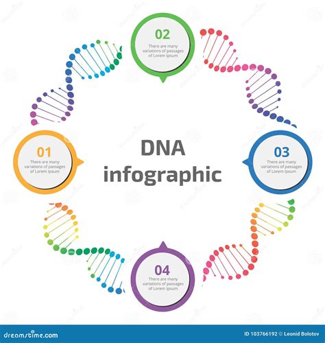 DNA Infographic