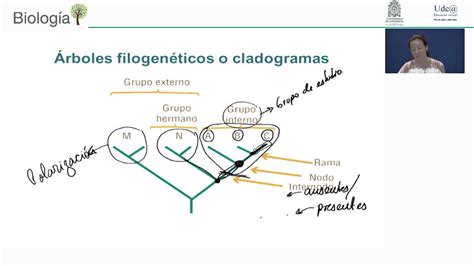 Sistemática filogenética reconstrucción de la historia natural 09