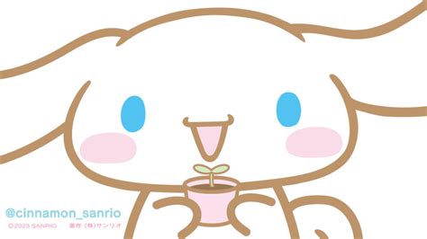 On Twitter Rt Cinnamon Sanrio