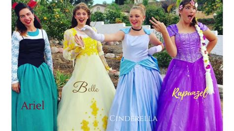 Diy Adult Cinderella Costume