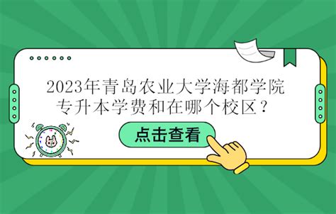 2023年青岛农业大学海都学院专升本学费和在哪个校区？ 易学仕专升本网