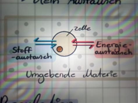 Energie Biosynthese V Karteikarten Quizlet