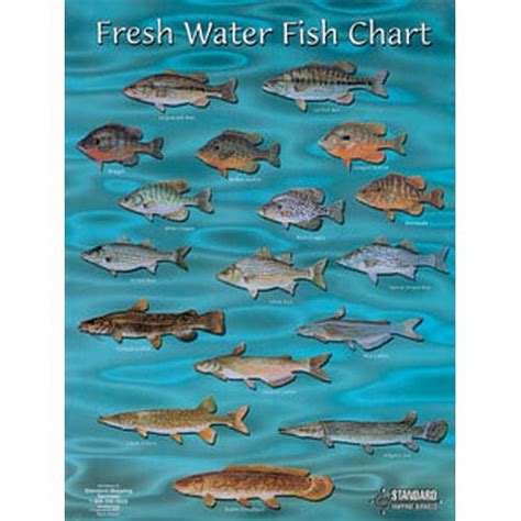 Standard Map Fc002 Freshwater Fish Chart