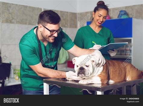 Veterinarian Assistant Image And Photo Free Trial Bigstock