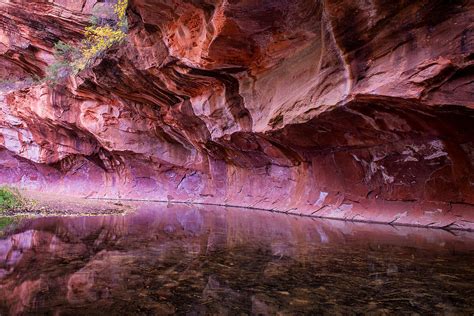 Oak Creek Canyon Wall At West Fork Photograph By Daniel Zirakzadeh Fine Art America