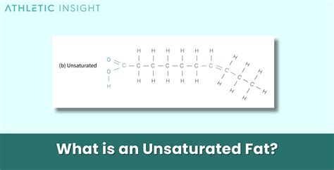 Unsaturated Fats: Definition, Function, Types, and Sources - Athletic Insight