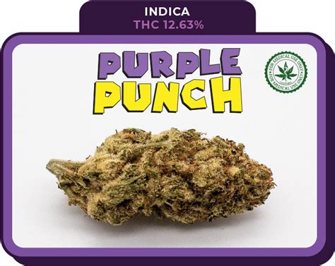 Purple Punch Juicy Buds