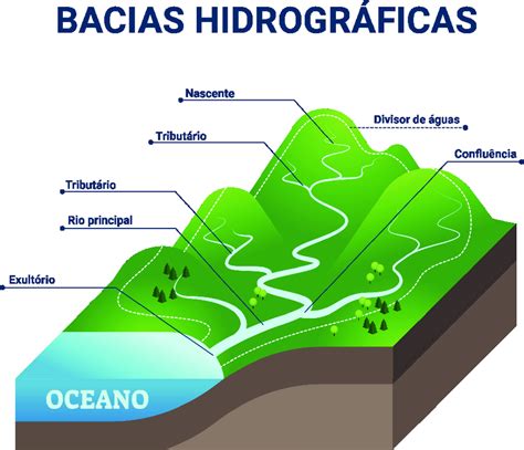 Elementos de uma bacia hidrográfi ca Fonte Adquirida e adaptada via