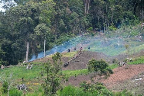 Perambahan Di Taman Nasional Kerinci Seblat