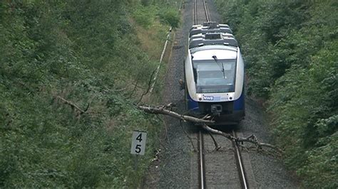 Nonstopnews Gro Er Baum Knickt Durch Heftige B E Ab Und St Rzt Auf