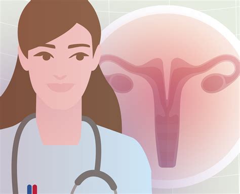 O Que é Um útero Bicorno E Como Afeta A Gravidez Next Fertility