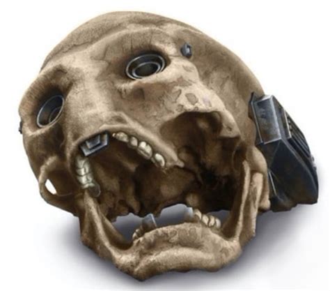 Bone | Wookieepedia | Fandom