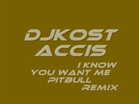 DjKostaCCis Pitbull I Know You Want Me Remix YouTube