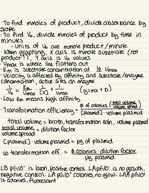 Quiz Study Guide Know The Different Flagellar Arrangements L