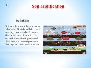 Soil solidification, acidification, alkalization and pollution | PPT